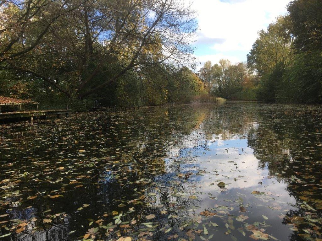 maarsseveenseplas